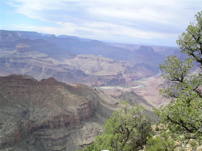 images/B-Navajo Point-Canyon View (9).jpg